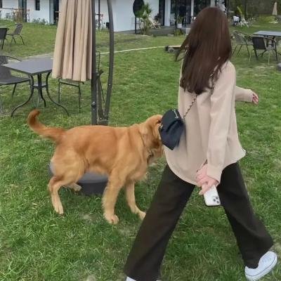 爱，死亡和机器人第一季
